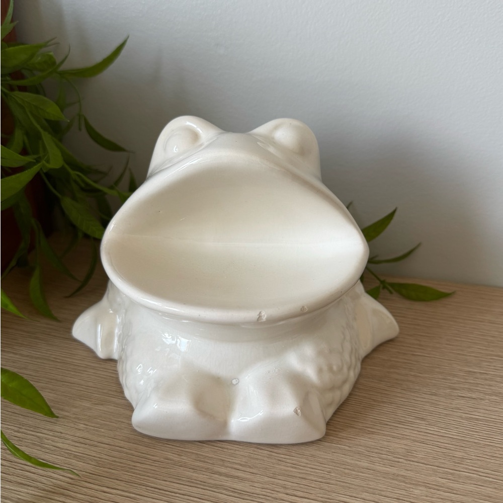 Ceramic Frog Shaped Toothbrush and Cloth Holder